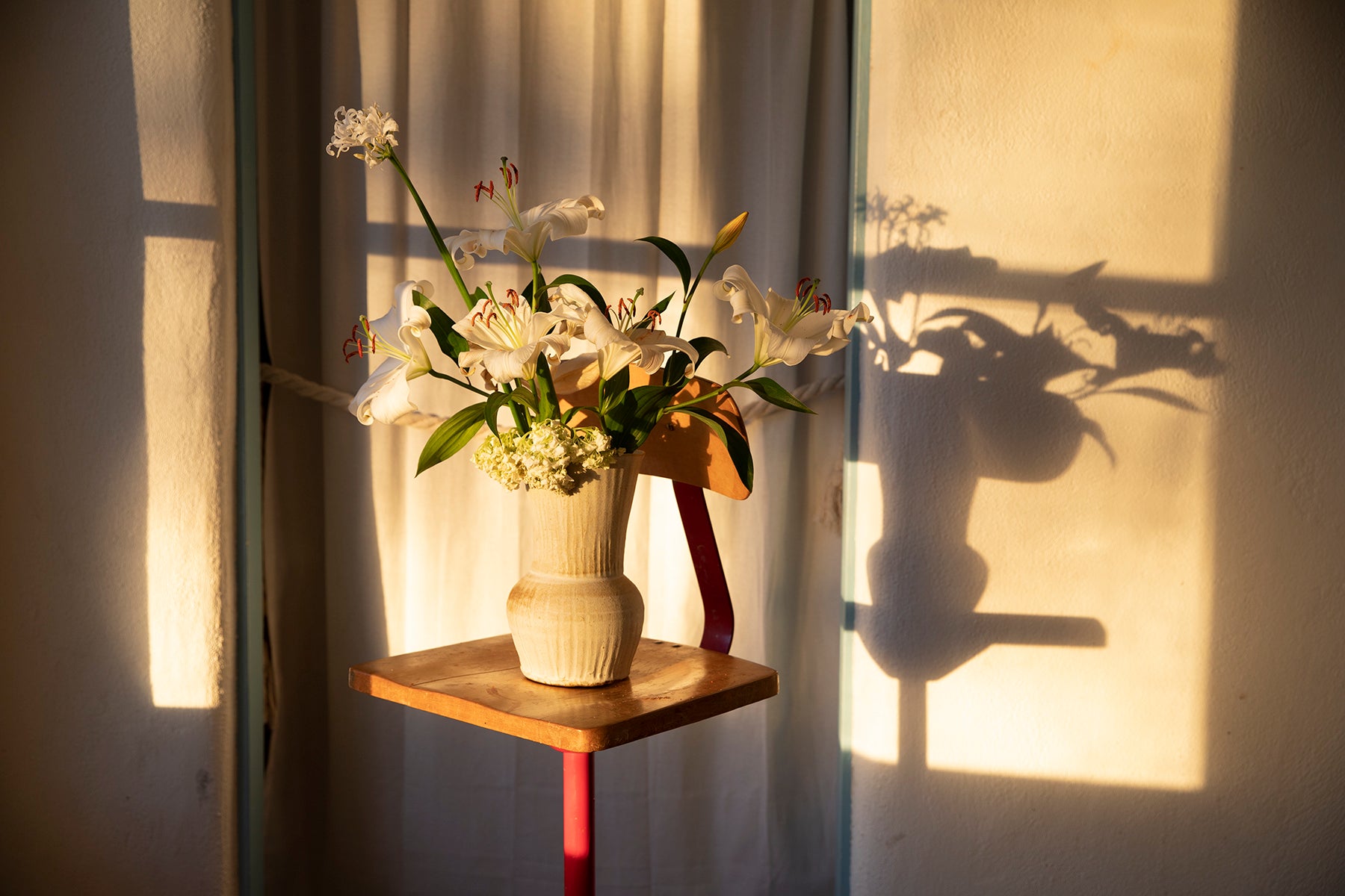 Large Shell Vase